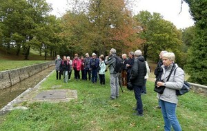 Sortie Découverte :Etangs et Rigoles de la réserve nationale d'Yveline