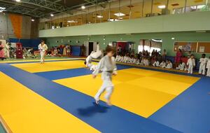 donstration de Judo