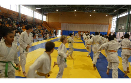 Tournoi de JUDO 2026